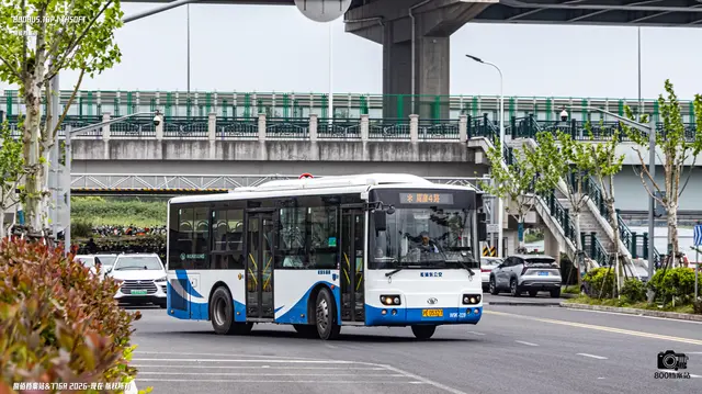 800BUS