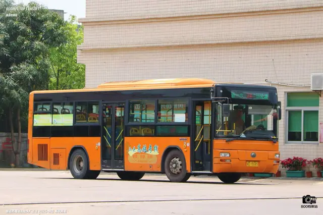 800BUS