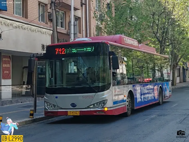 辽B M3963