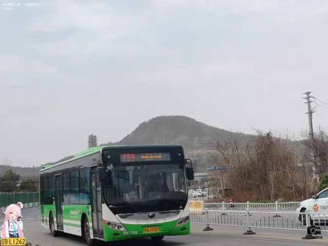 800BUS