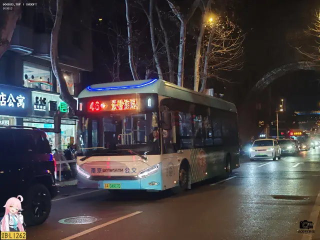 800BUS