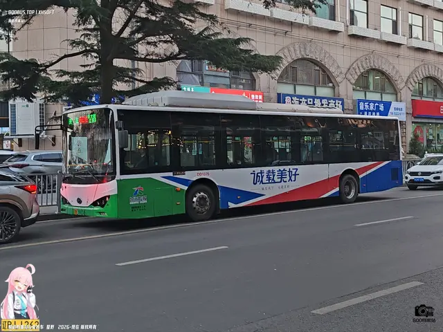 800BUS