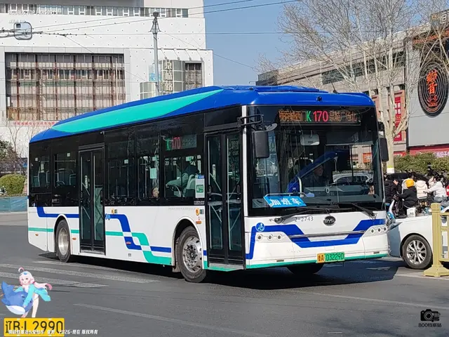 800BUS