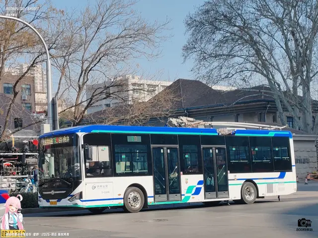 800BUS
