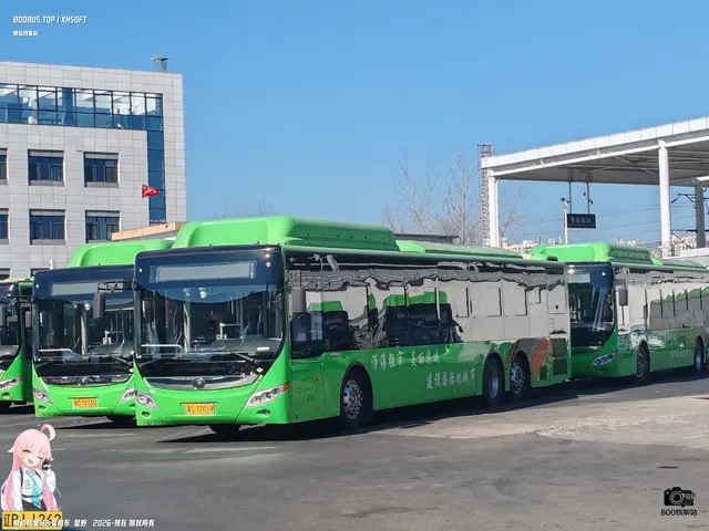 800BUS