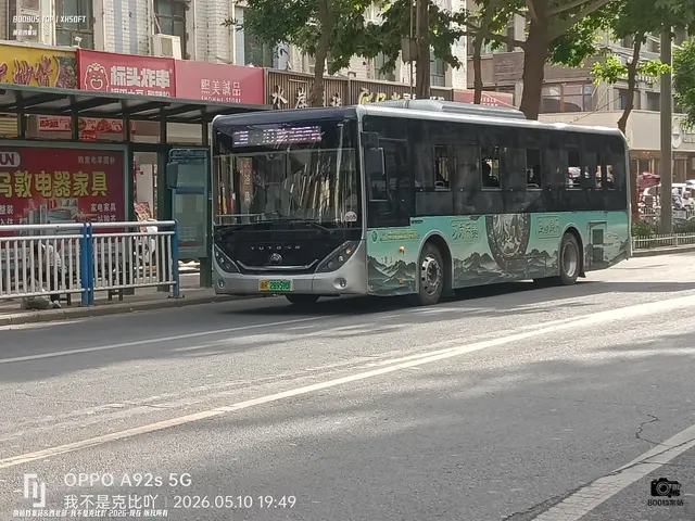 800BUS