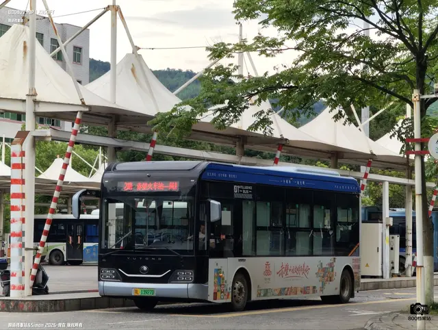 800BUS