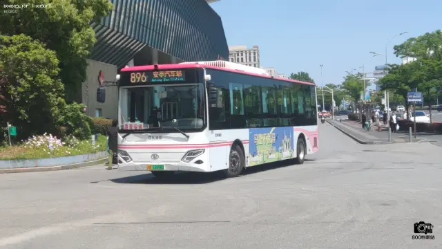 800BUS