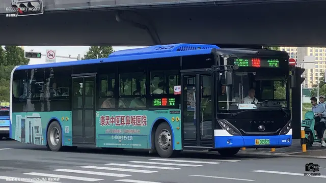 800BUS
