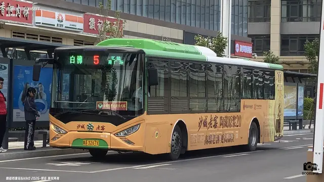 800BUS