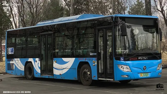 800BUS