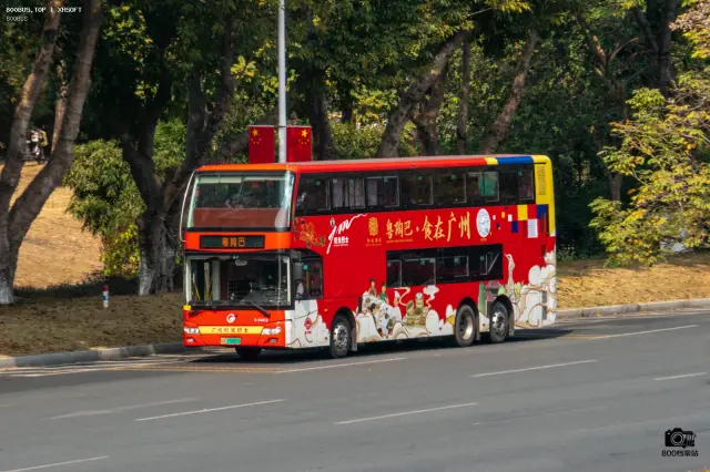 800BUS