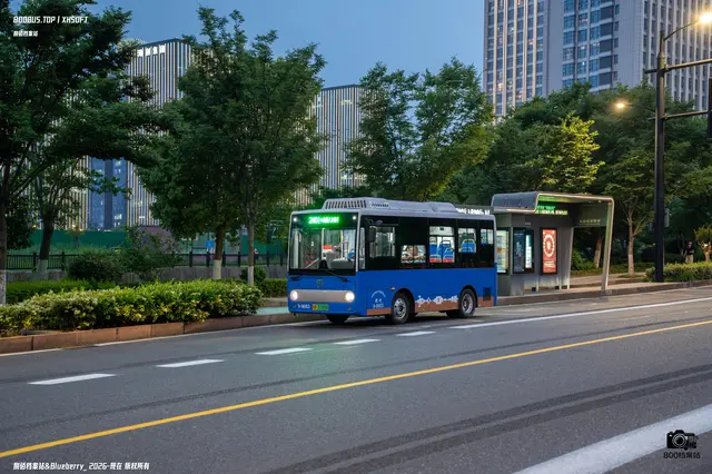 800BUS
