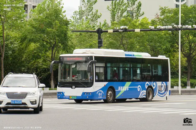 800BUS
