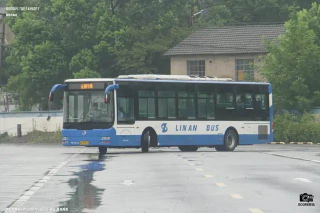800BUS