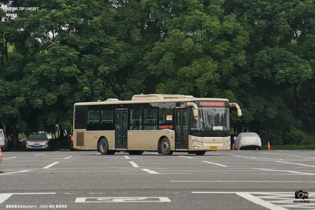 800BUS