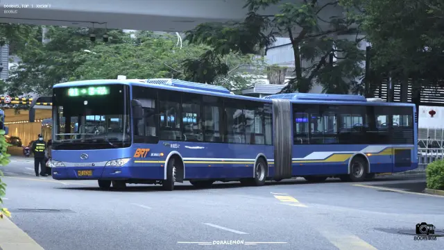 800BUS