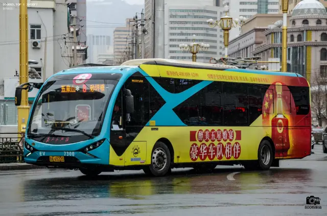 800BUS