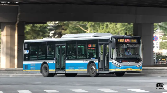 800BUS