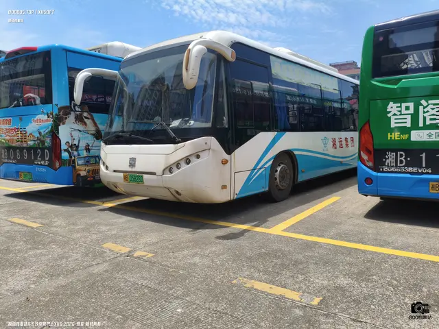 800BUS