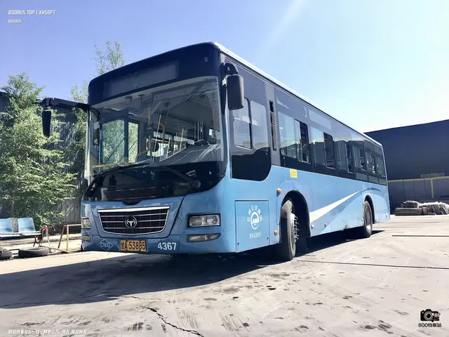 800BUS