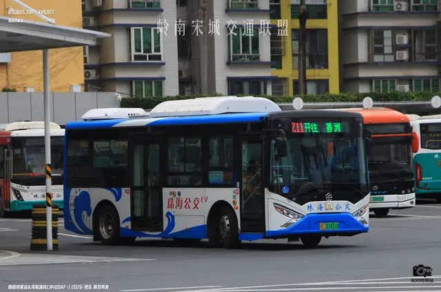 800BUS