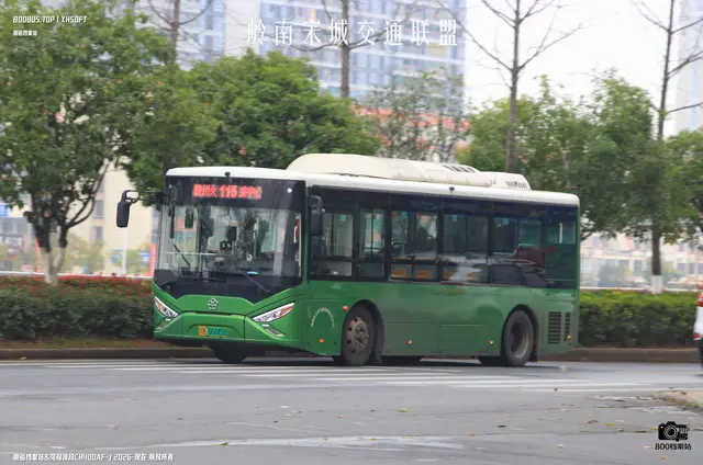 800BUS