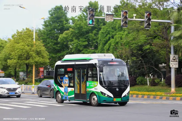 800BUS