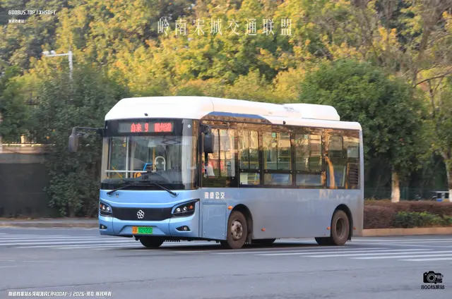 800BUS