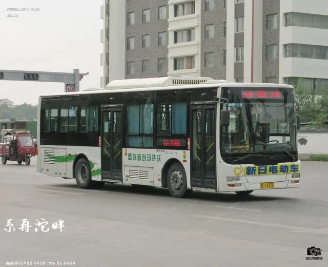 800BUS