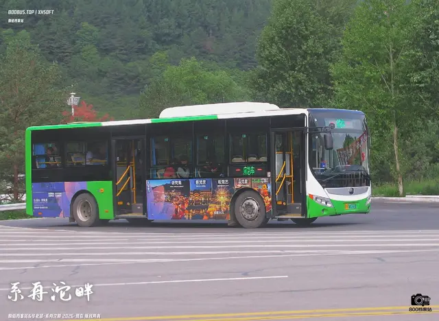 800BUS
