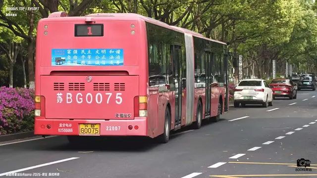 800BUS