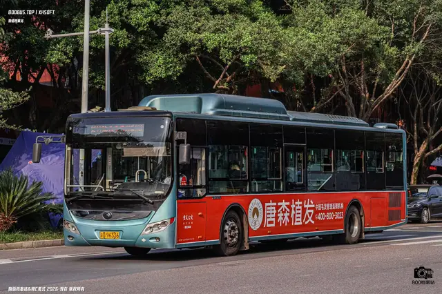 渝D 96336