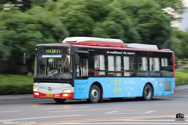 800BUS