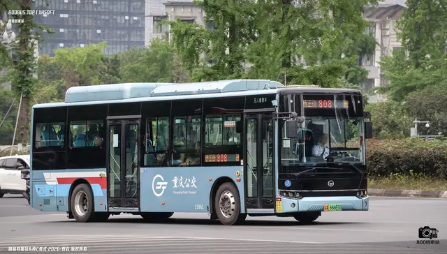 800BUS