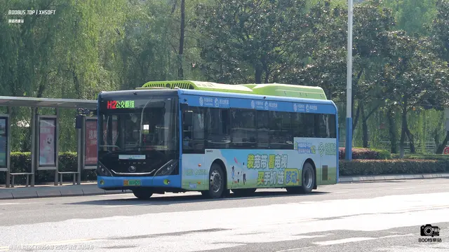 800BUS