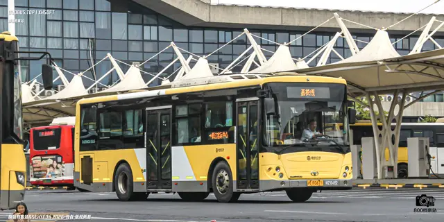 800BUS