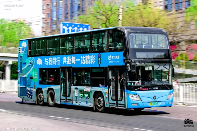 800BUS