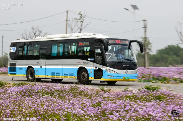 800BUS