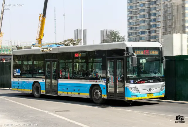 800BUS