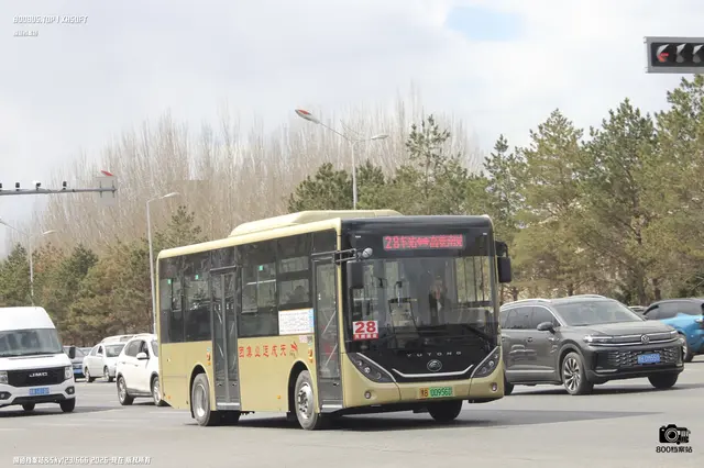 800BUS