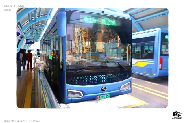 800BUS
