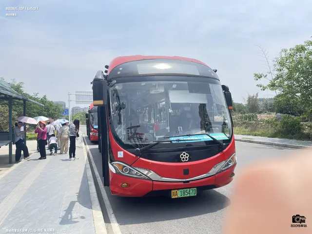 800BUS