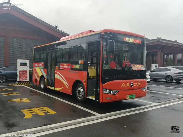 800BUS