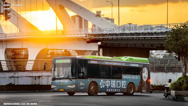 800BUS