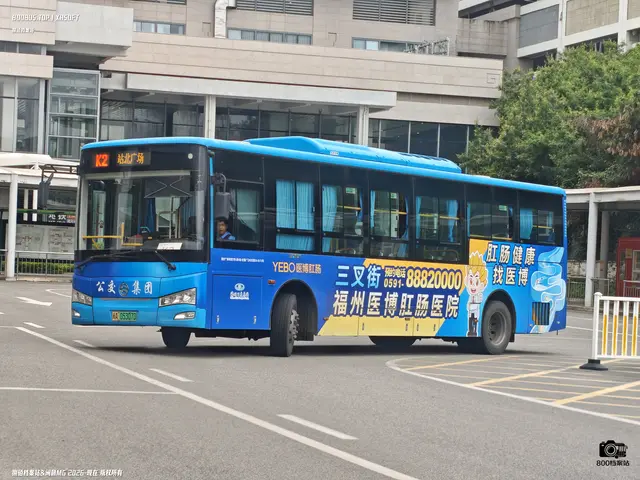 800BUS