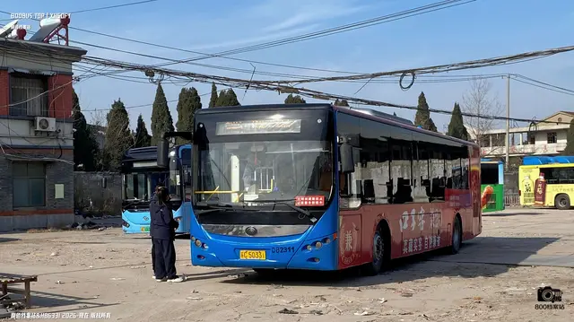 800BUS