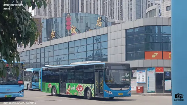 800BUS