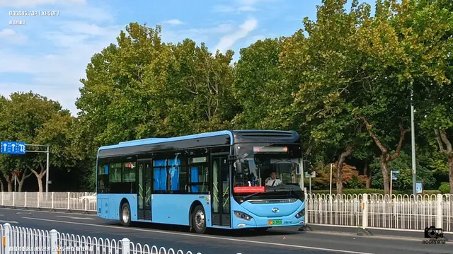 800BUS