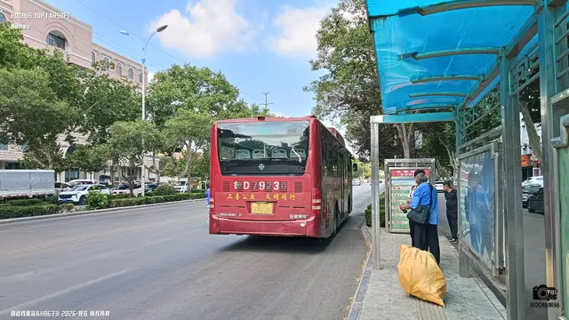 800BUS